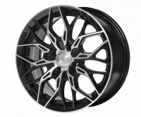 CSSD2853 B-P