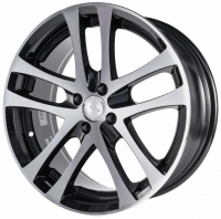 Race Ready Technology CSS266