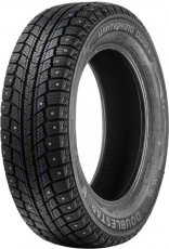 Doublestar DW07