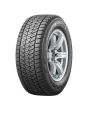 Bridgestone Blizzak DM-V2
